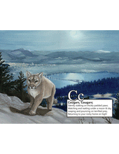 Load image into Gallery viewer, An Okanagan Alphabet
